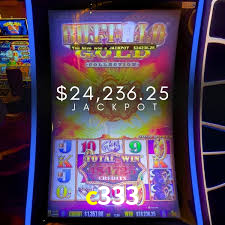 Daily Bonuses c333