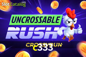 c333